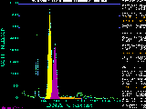 Picture of the 
histogram.