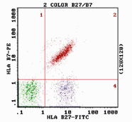 2 color B27/B7 graph
