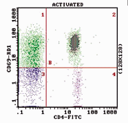 Plot of CD4-FITC Activated WB