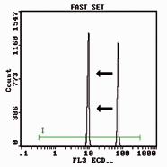 Fast Set graph