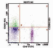 Plot of CD-FITC stained WB