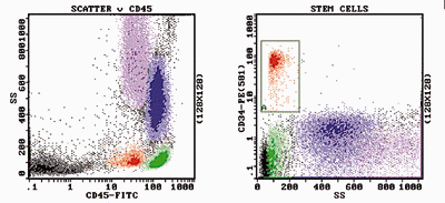 Graphs of Leukapheresis specimen