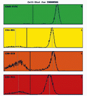 Curve-fitting algorithm