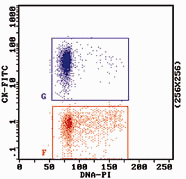Graph of DNA-PI vs CK-FITC