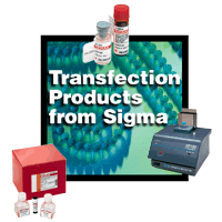 Transfecton Products